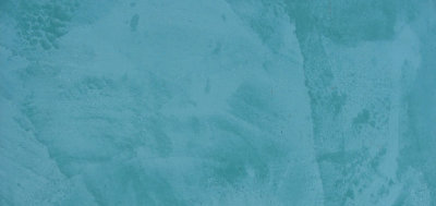 About Waldec Philosophy